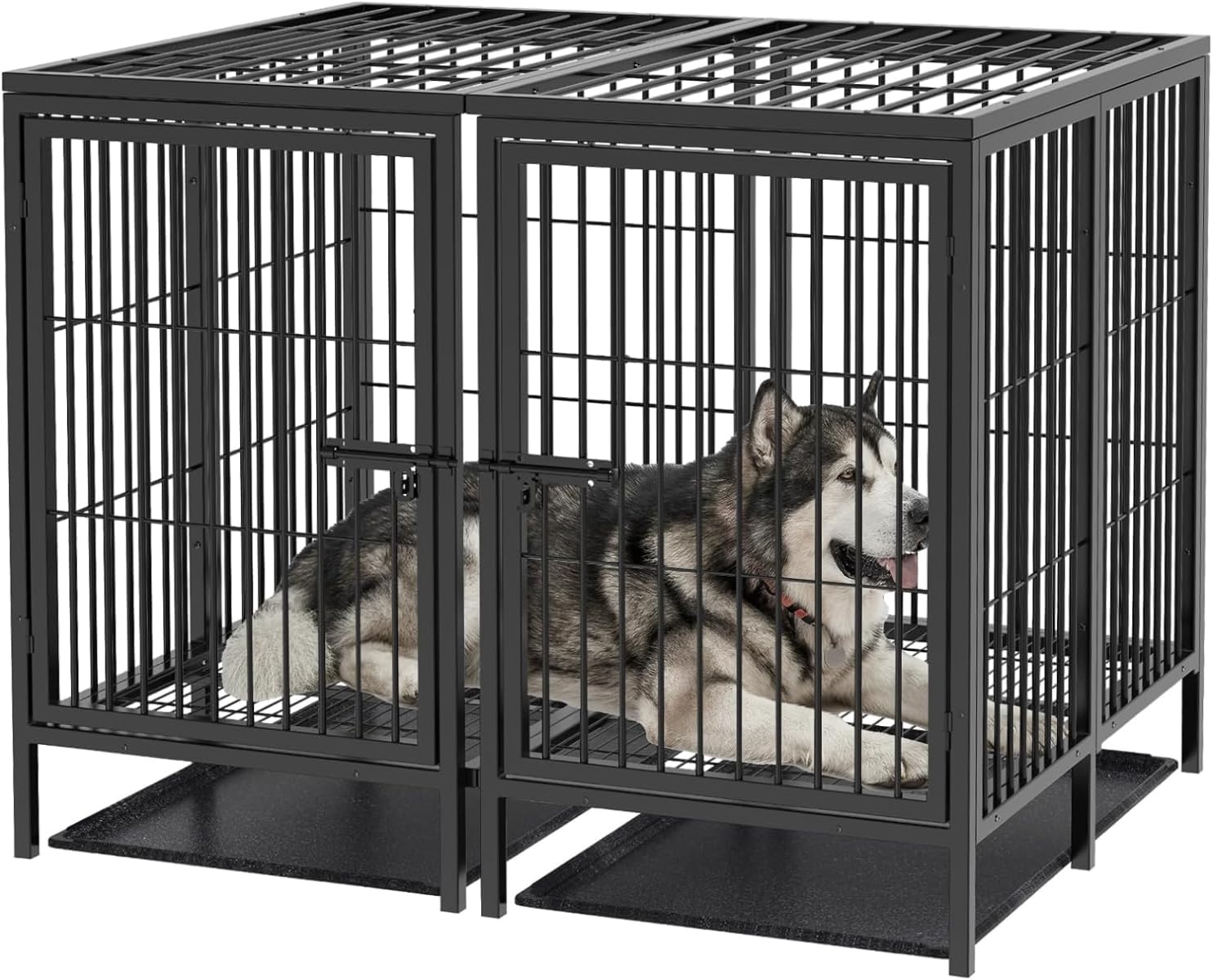 リリパットレーン pet's practice インテリア ドールハウス LILLIPUT